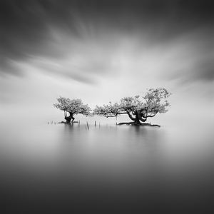 Grandiose