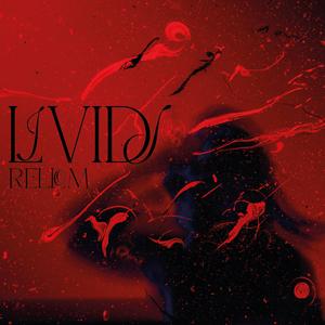 LIVIDI
