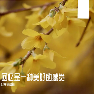 苦心