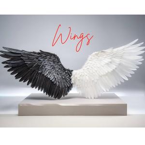 Wings