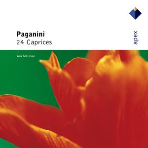 Capricho N. 24 La menor, quasi presto