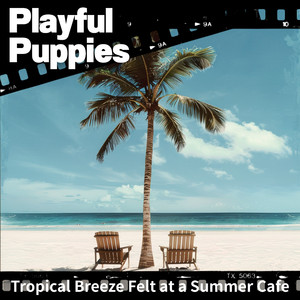 Lagoon Twilight Sounds