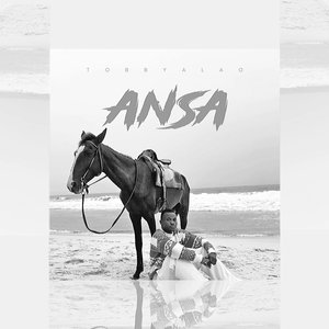 Ansa
