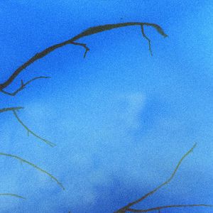 是你随意编造的谎言2.0