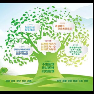 鲁南自愈招商人