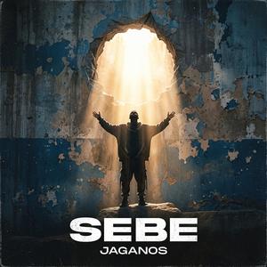 Sebe