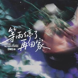 没来得及再看你一眼