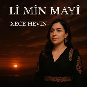 LÎ MÎN MAYİ