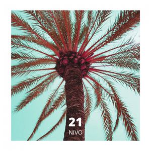 21
