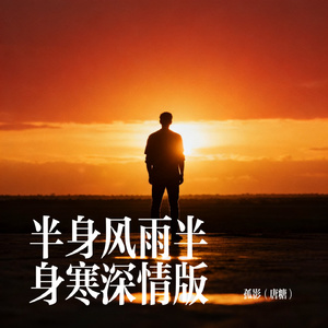半身风雨半身寒深情版