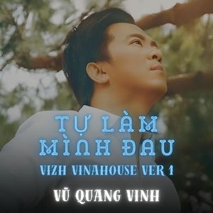 Tự Làm Mình Đau (Vizh Vinahosue Version 1)