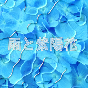 雨と紫陽花
