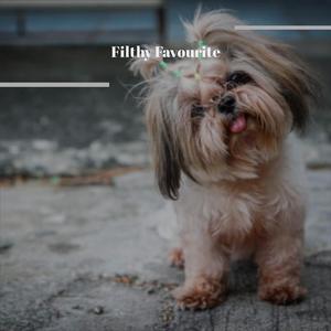 Larghetto Recordings