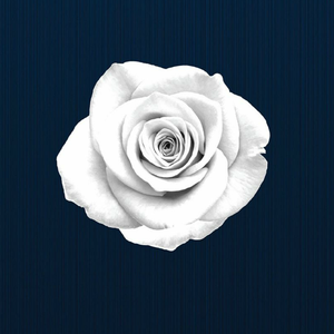 别赋（翻自 慕寒）（Cover ）