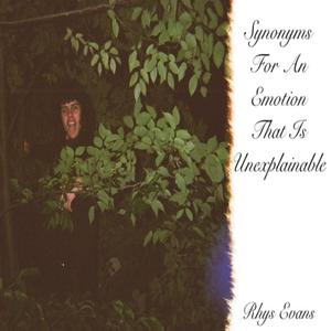 Chicken & Cheese DMT Cart (Is There Anything Better To Do On The Sydney Light Rail?)