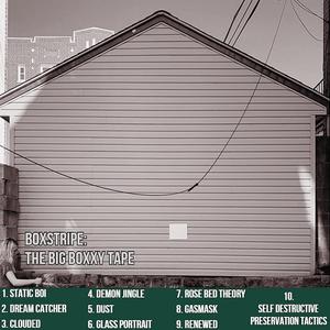 Self Destructive Preservation Tactics