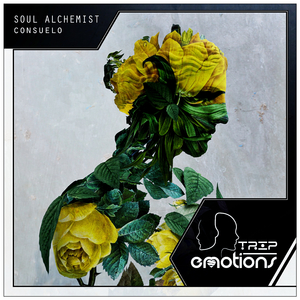 Consuelo