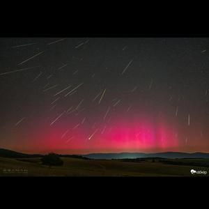Szívtelen - Sajnálom