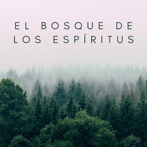 Sonidos Relajantes Del Bosque