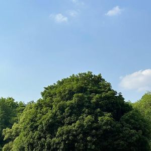 我可以 陪你去看星星