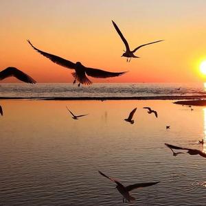 他真的对你好吗（付豪）