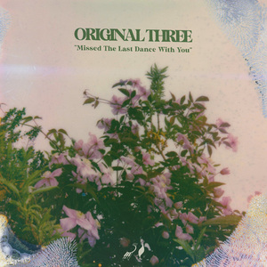 Missed The Last Dance With You