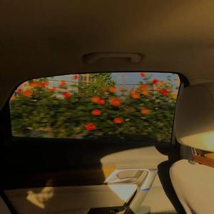 你一定能够成为你想要去成为的人