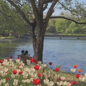 这世界那么多人