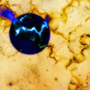 Meditations in an Emergency