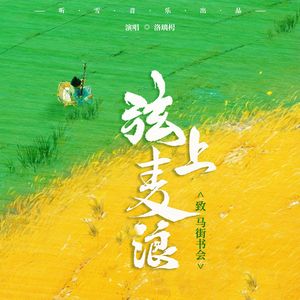 弦上麦浪-致马街书会