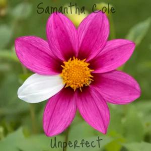 UNPERFECT