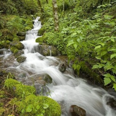 我怎么舍得让你哭