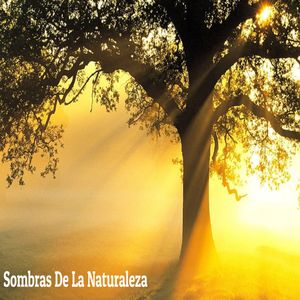 Mejora La Salud Y Reduce El Dolor
