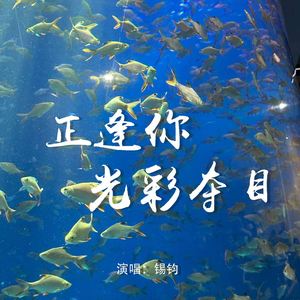 正逢你光彩夺目