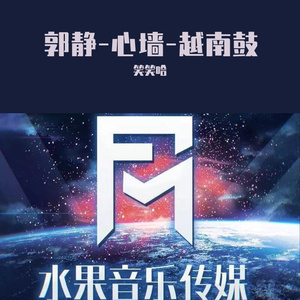 郭静-心墙-越南鼓（笑笑哈 remix）