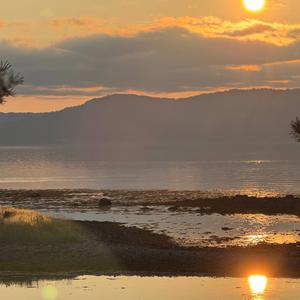 bury me in the river..