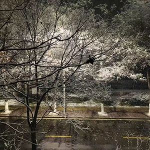 蜕变
