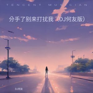 冷漠 - 分手了别来打扰我（DJ何友版）