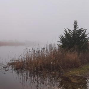 Through the Mist, a Sorrow