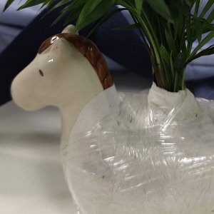 姜静怡20222101081.mp3