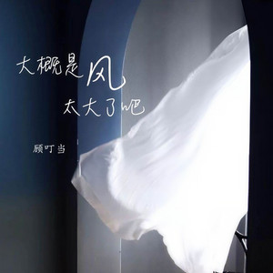 大概是风太大了吧