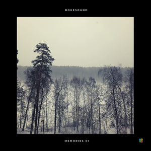 Night Fire (Original Mix)