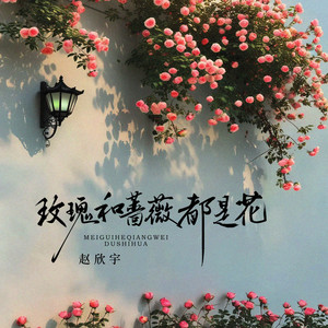 玫瑰和蔷薇都是花