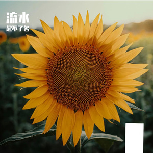 记忆的诗篇