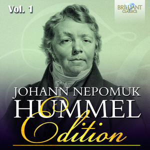 Fantasina in C Major on Themes from Le nozze di Figaro, Op. 124