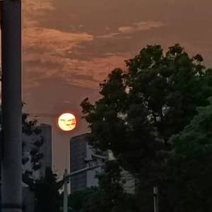 这一生关于你的风景