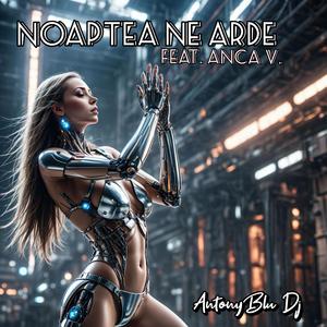 NOAPTEA NE ARDE (feat. Anca V.) (Radio Edit)