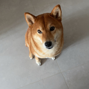 拉完了
