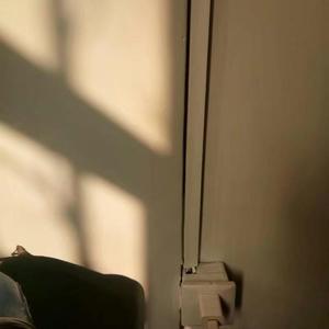 坏女孩让我一个人过情人节