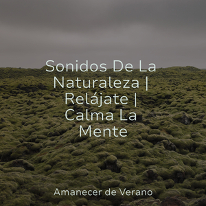 Tranquilidad Sumergida